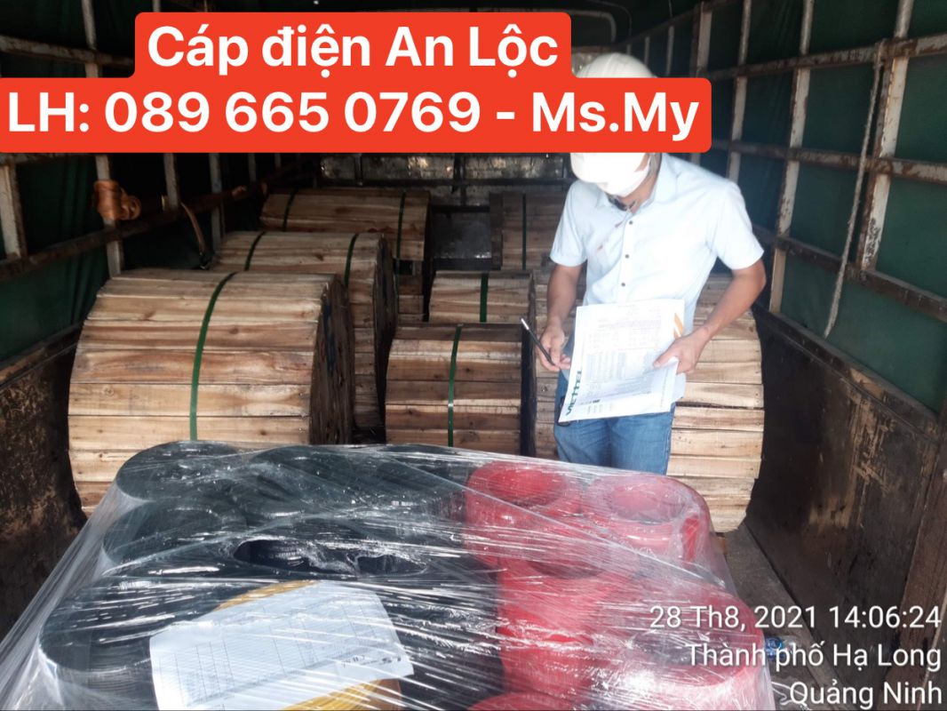 0,6/1kV Cu/XLPE/PVC SQMM - Đại lý cáp hạ thế LS Vina