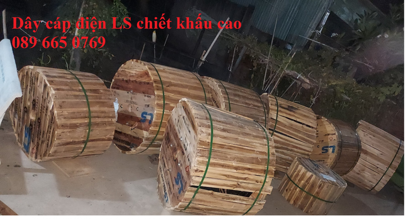 Cáp ngầm trung thế Cu/XLPE/PVC/DSTA/PVC 24kV LS Vina