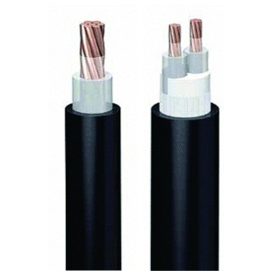 Cáp điện Taihan hạ thế - Đại lý cáp Taihan